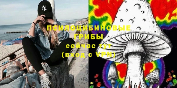 хмурый Армянск